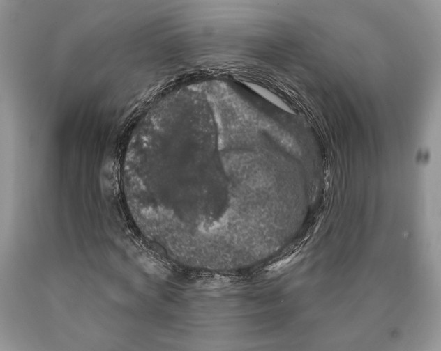 X0000089960772200707271900