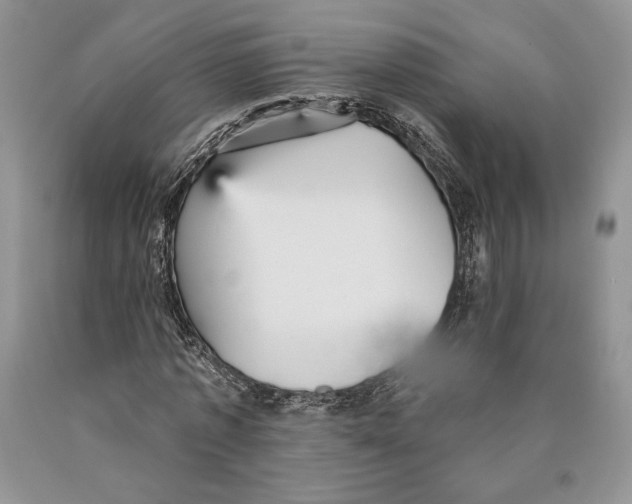 X0000089960773200707271900