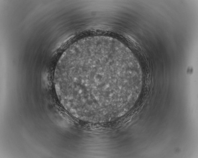 X0000089960774200707271900