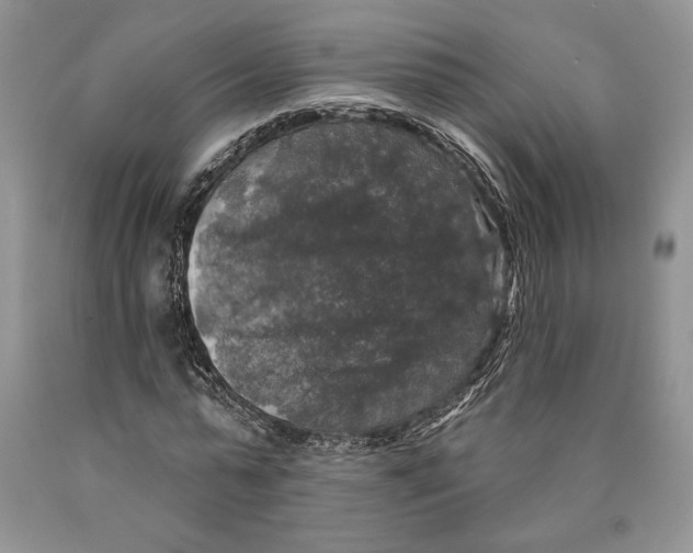 X0000089960775200707271900