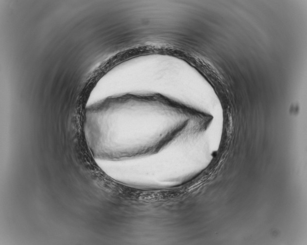 X0000089960776200707271900