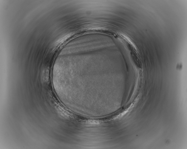 X0000089960777200707271900