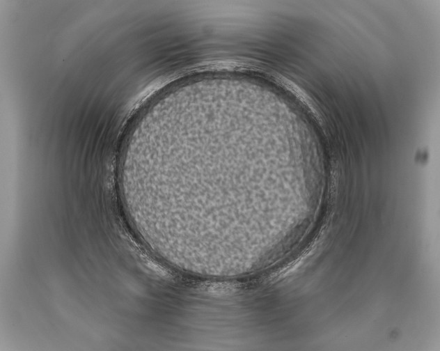 X0000089960778200707271900