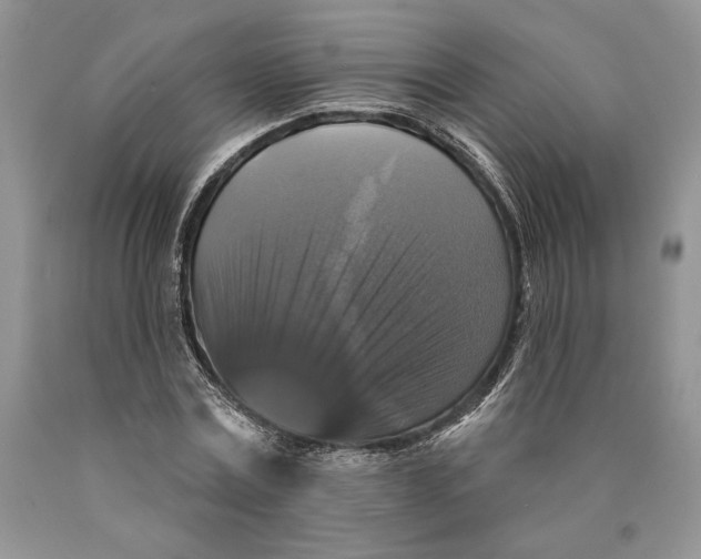 X0000089960779200707271900