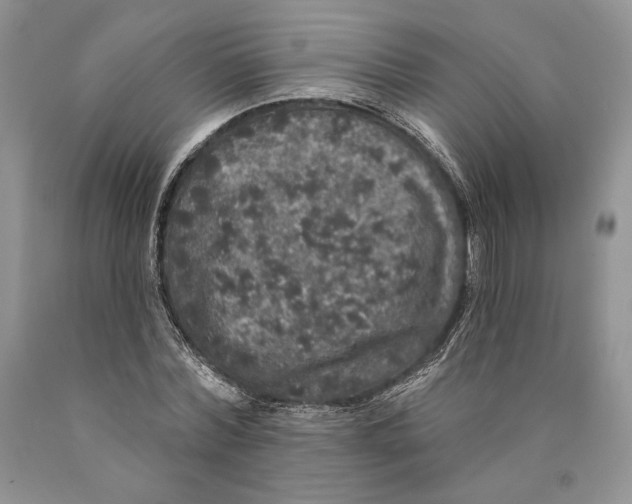 X0000089960780200707271900