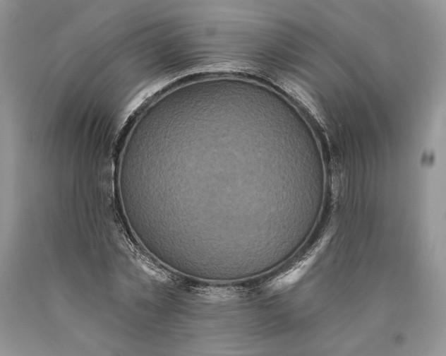 X0000089960781200707271900