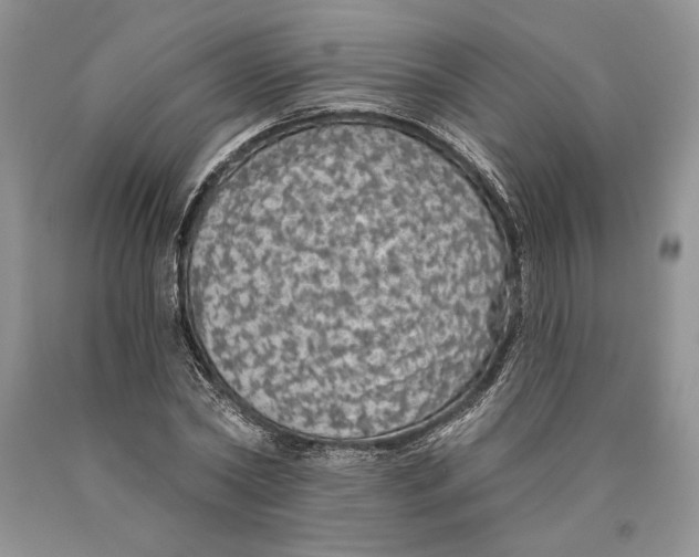 X0000089960782200707271900