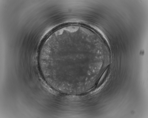 X0000089960783200707271900