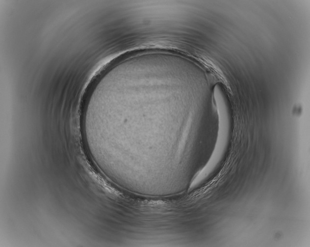 X0000089960784200707271900