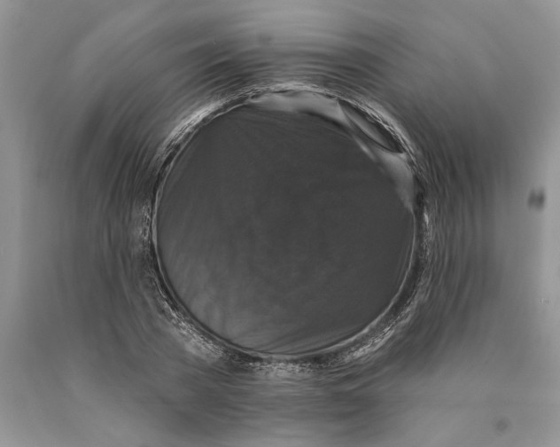 X0000089960785200707271900