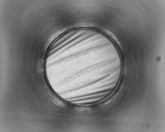 X0000089960786200707271900