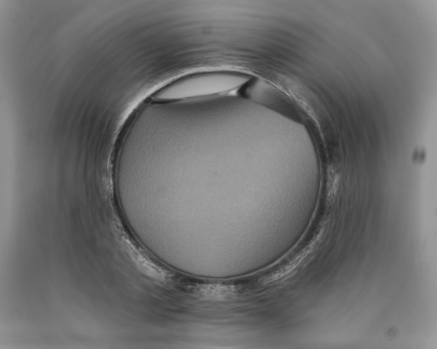 X0000089960789200707271900