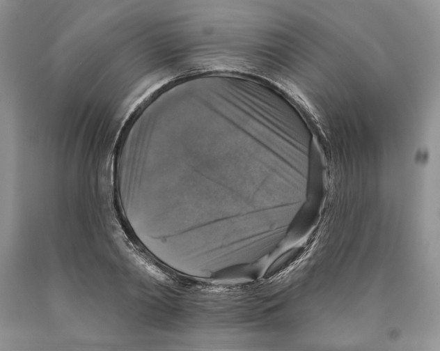 X0000089960790200707271900