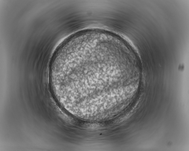 X0000089960791200707271900