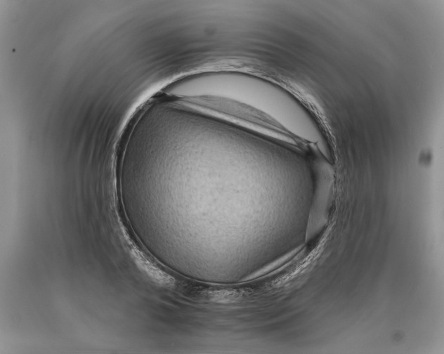 X0000089960792200707271900