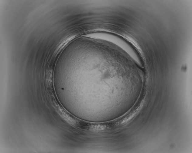 X0000089960793200707271900