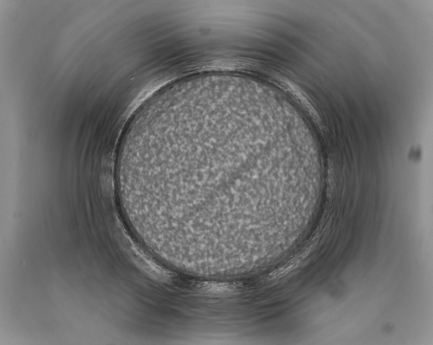 X0000089960794200707271900