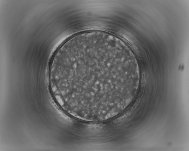 X0000089960796200707271900