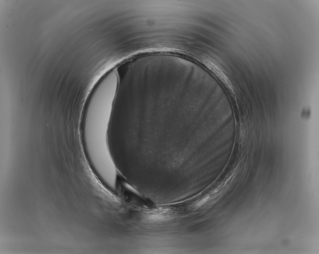 X0000089960797200707271900