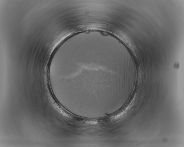 X0000089960798200707271900