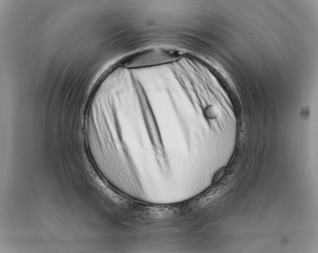 X0000089960799200707271900