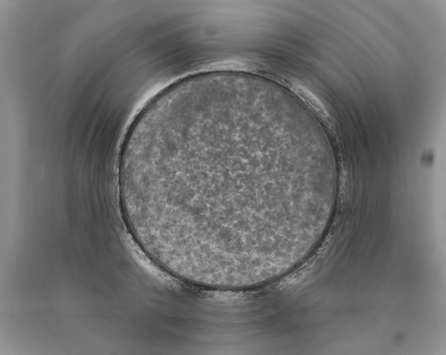 X0000089960800200707271900