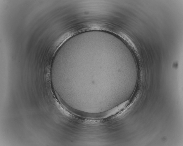 X0000089960801200707271900