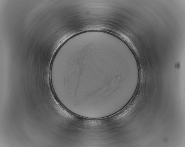 X0000089960802200707271900