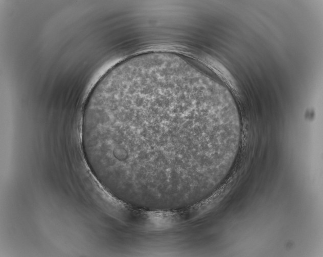 X0000089960804200707271900