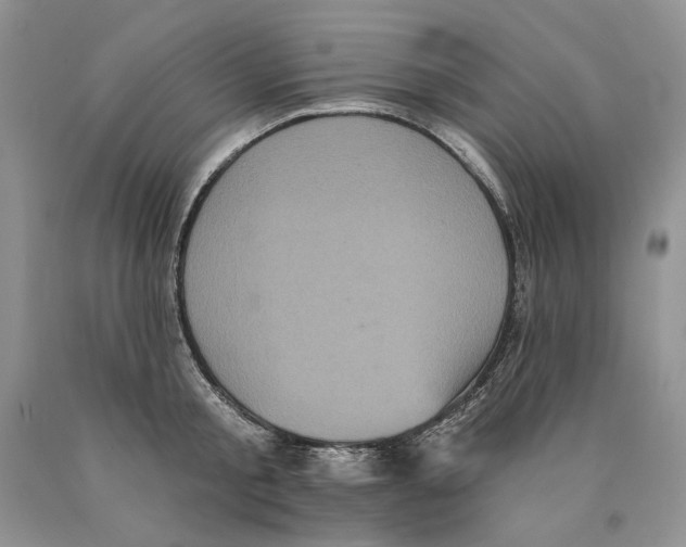 X0000089960805200707271900