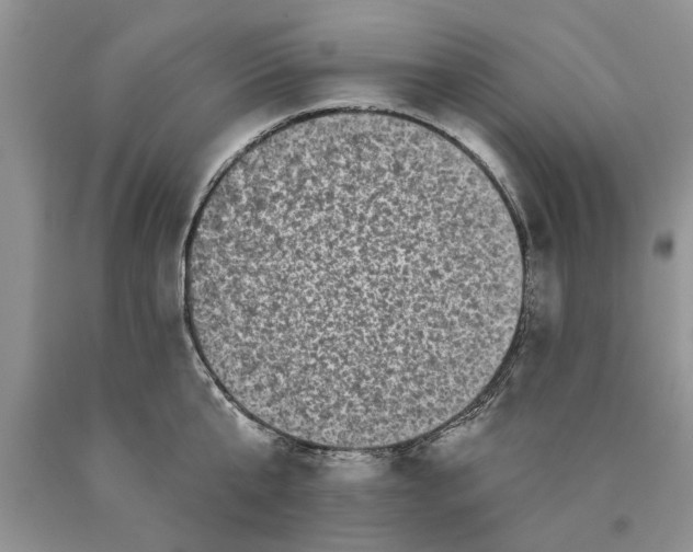 X0000089960807200707271900