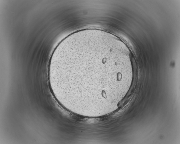 X0000089960808200707271900