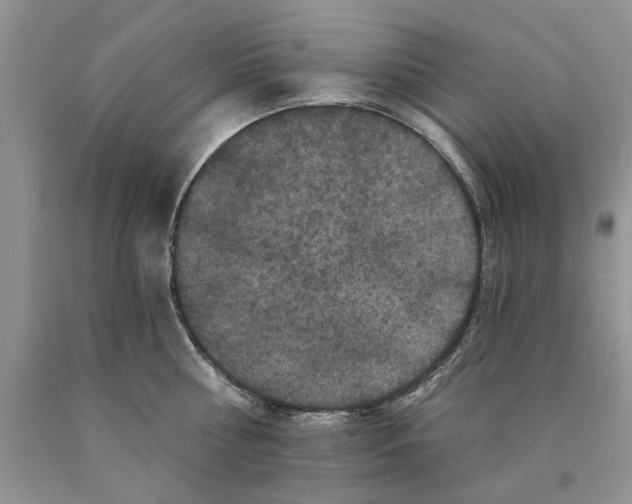 X0000089960810200707271900