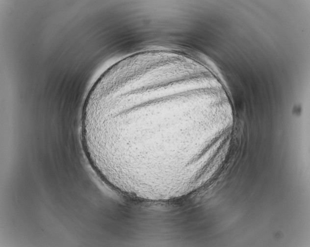 X0000089960811200707271900