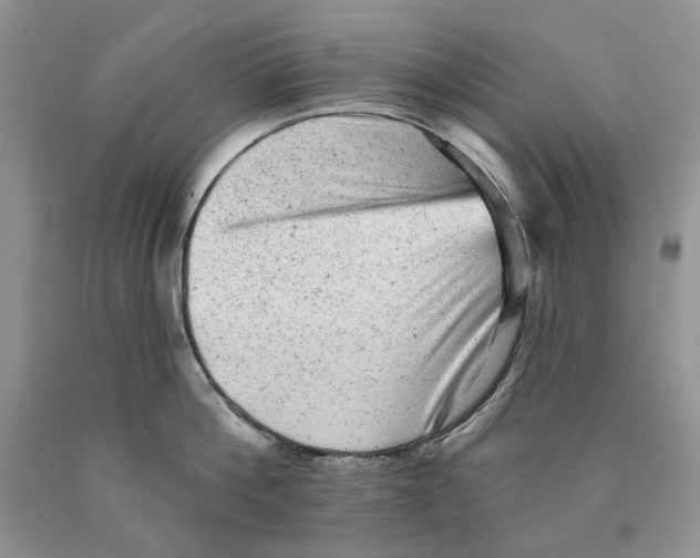 X0000089960812200707271900