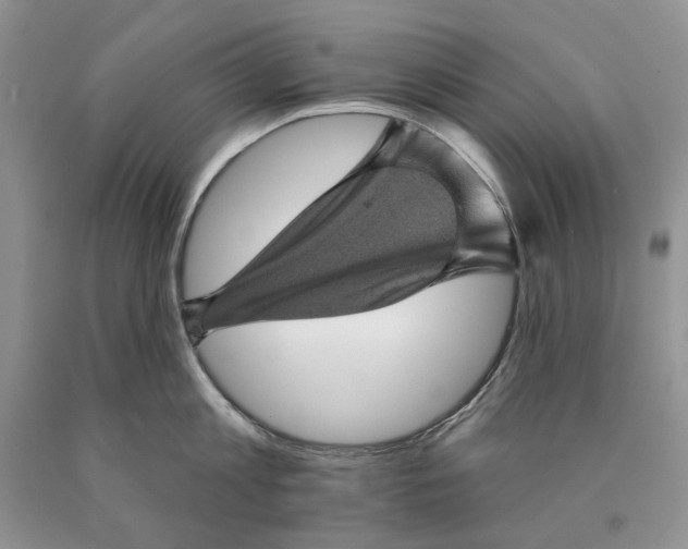 X0000089960813200707271900