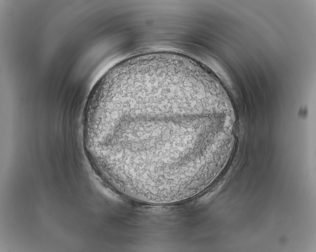 X0000089960814200707271900