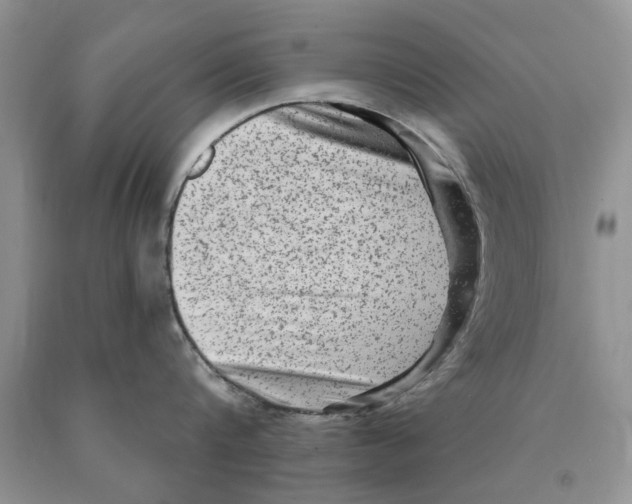 X0000089960816200707271900