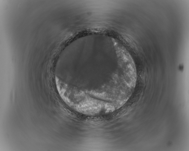 X0000089960817200707271859