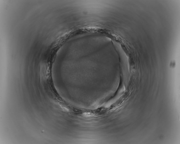 X0000089960818200707271859