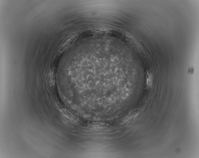 X0000089960819200707271859