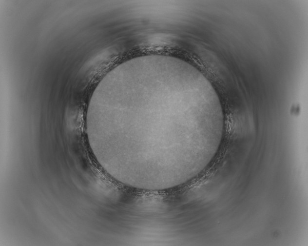 X0000089960820200707271859