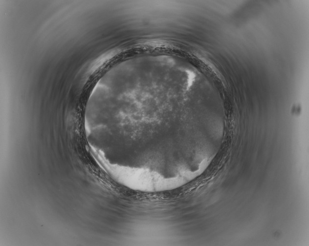 X0000089960823200707271859