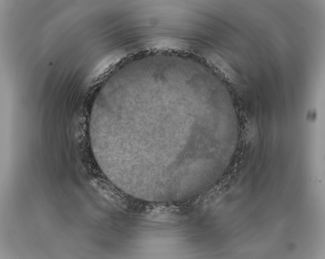 X0000089960824200707271859