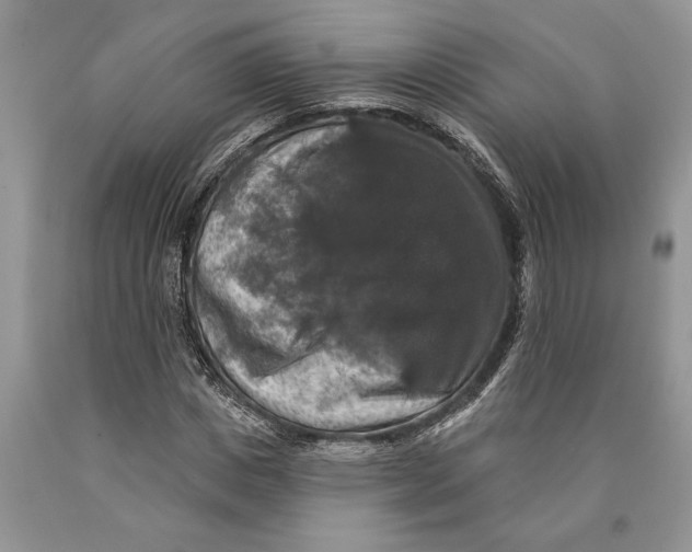 X0000089960825200707271859