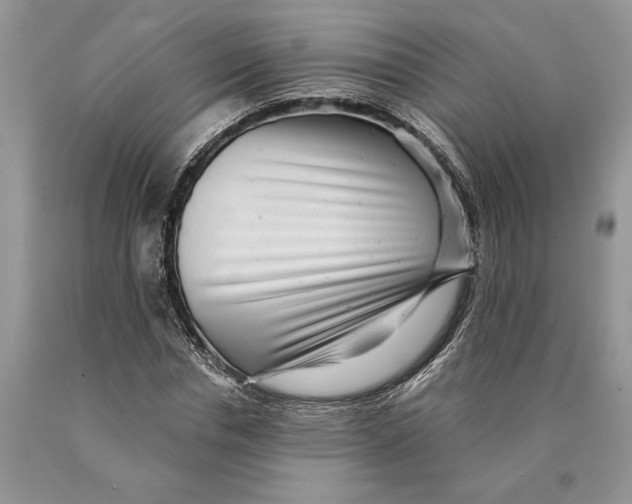 X0000089960826200707271859