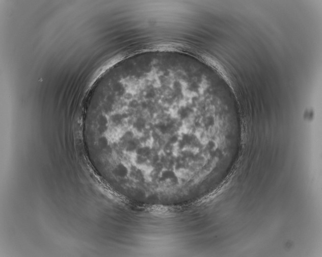 X0000089960827200707271859