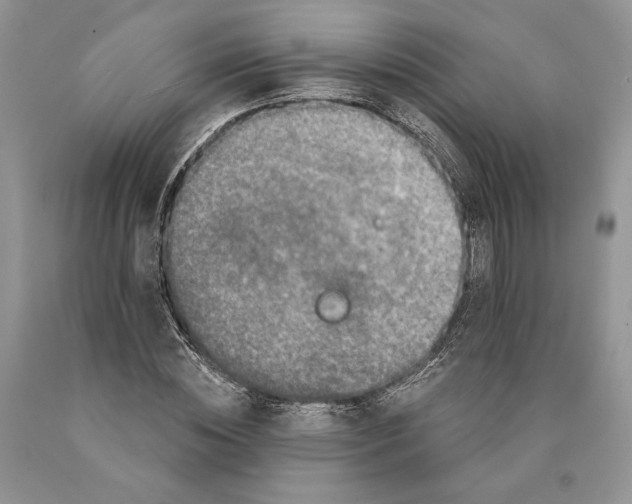 X0000089960828200707271859