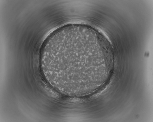 X0000089960829200707271859