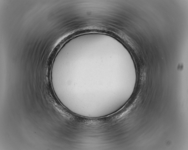 X0000089960830200707271859